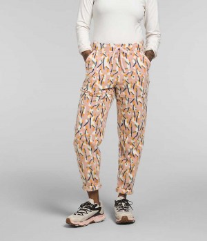 Pantalon En Molleton The North Face Alpine Polartec® 100 Femme Multicolore | FRANCE TGULZ