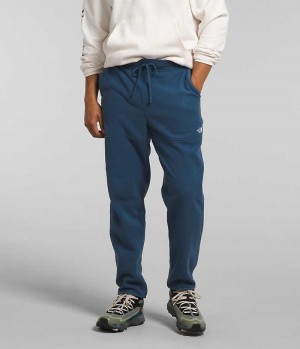 Pantalon En Molleton The North Face Alpine Polartec® 100 Homme Bleu | FR GYQBF
