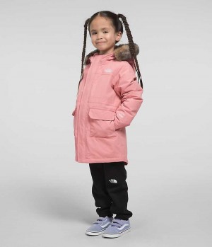 Parka The North Face Arctic Fille Rose | FR VRSCK