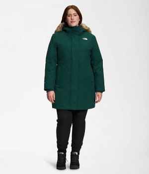 Parka The North Face Plus Arctic Femme Vert | PARIS UKNRF