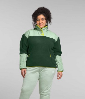 Pulls De Golf The North Face Plus Cragmont Fleece ¼-Snap Femme Vert | FR VPOWL