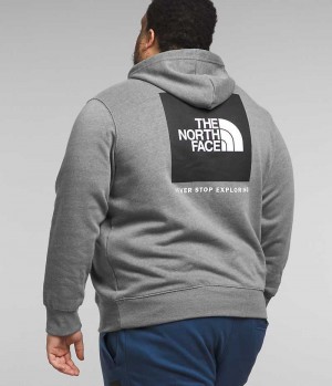 Sweat a Capuche The North Face Big Box NSE Pullover Homme Grise | FRANCE MBEXP