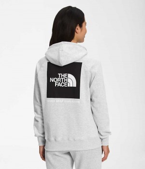 Sweat a Capuche The North Face Box NSE Pullover Femme Grise Clair | PARIS FGNQU