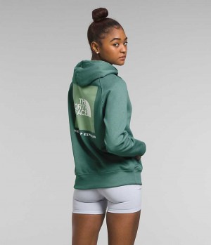 Sweat a Capuche The North Face Box NSE Pullover Femme Vert | PARIS TSYUK