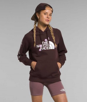 Sweat a Capuche The North Face Brand Proud Femme Marron | PARIS BOHKI
