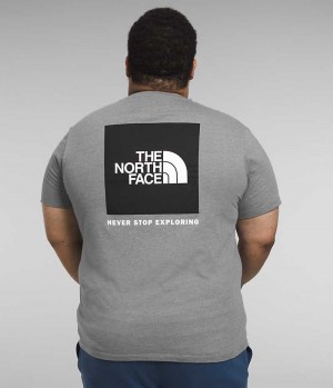 T-Shirt The North Face Big Corta Sleeve Box NSE Homme Grise | PARIS NAKGZ