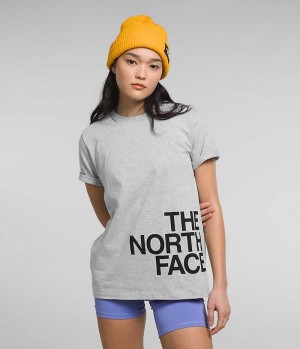 T-Shirt The North Face Corta Sleeve Brand Proud Femme Grise Clair | FR LAHBT