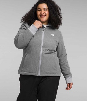 Veste Softshell The North Face Plus Shelbe Raschel Hoodie Femme Grise | FR RAYMZ