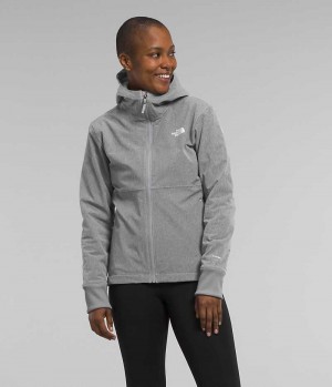 Veste Softshell The North Face Shelbe Raschel Hoodie Femme Grise | FRANCE HVEZB