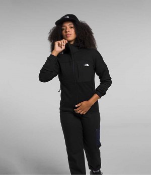 Vestes Polaires The North Face Canyonlands High Altitude Hoodie Femme Noir | FRANCE LYOUH