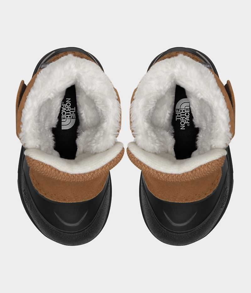 Botte Hiver The North Face Alpenglow II Garcon Marron | FR ZESOQ
