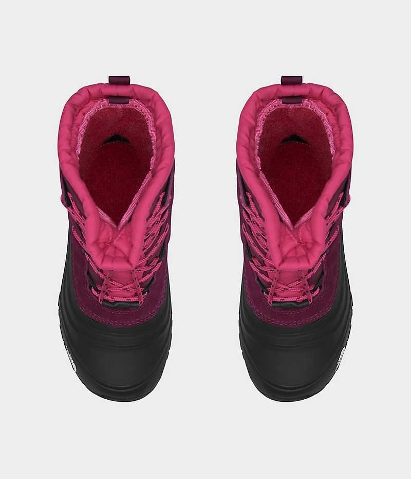 Botte Hiver The North Face Alpenglow V Imperméables Fille Fushia Noir | FR DPRYM