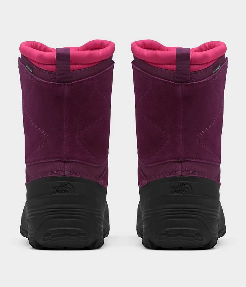 Botte Hiver The North Face Alpenglow V Imperméables Fille Fushia Noir | FR DPRYM