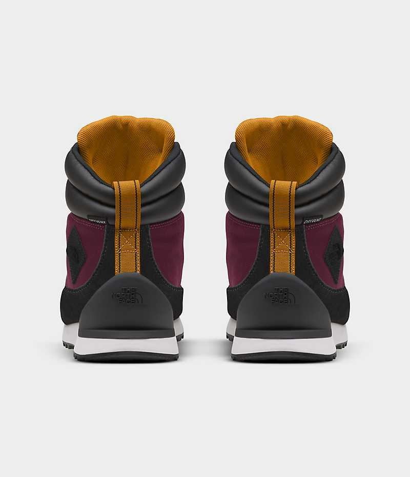 Botte Hiver The North Face Back-To-Berkeley IV Textile Imperméables Homme Fushia | FRANCE KWJIY