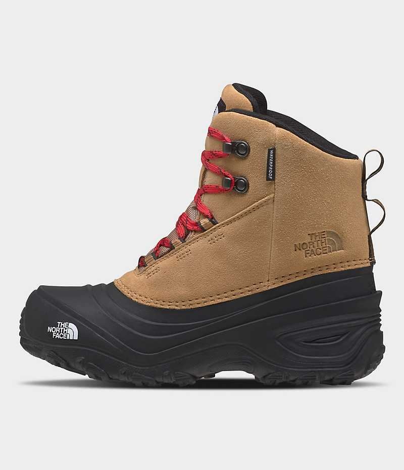 Botte Hiver The North Face Chilkat V Dentelle Imperméables Garcon Marron | FR OPFYJ