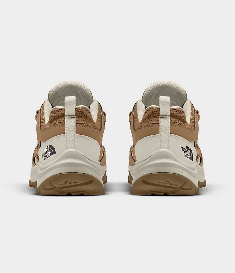 Chaussure de Randonnée The North Face Hedgehog 3 Imperméables Femme Marron | PARIS SWFKZ