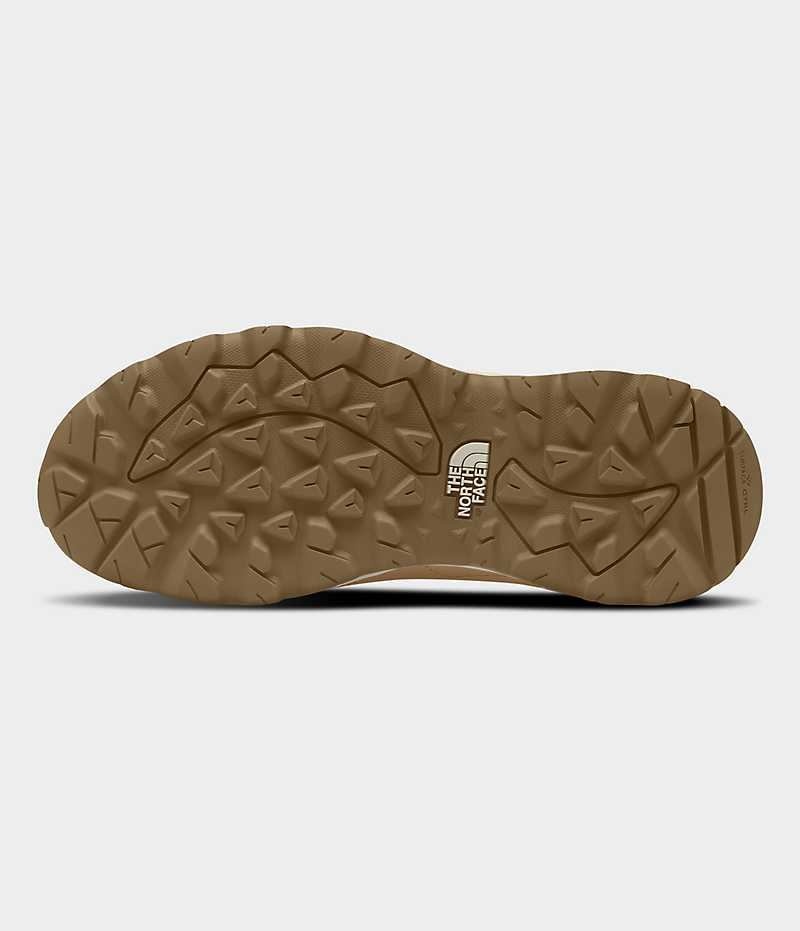 Chaussure de Randonnée The North Face Hedgehog 3 Imperméables Femme Marron | PARIS SWFKZ