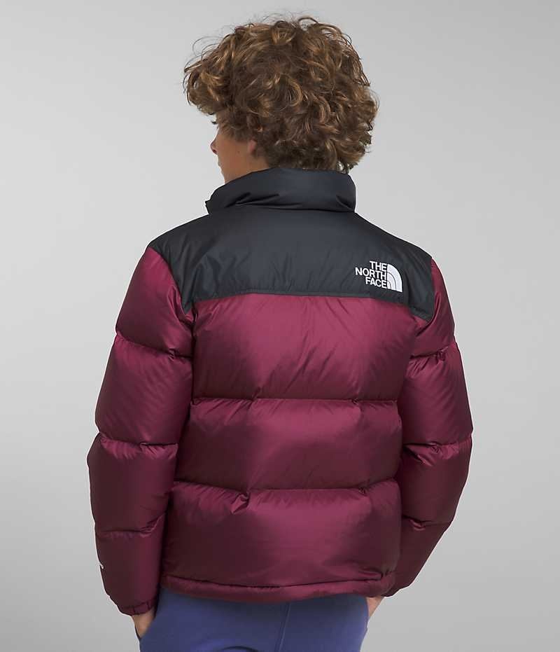 Doudoune The North Face 1996 Retro Nuptse Garcon Bordeaux | FR LWOIP