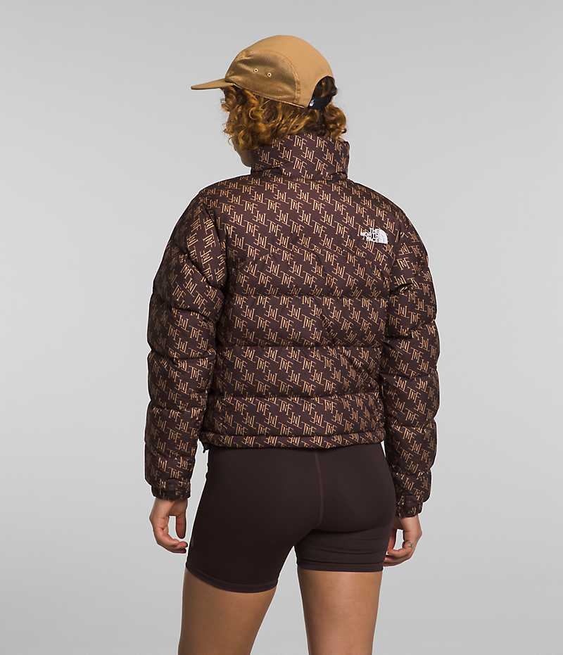 Doudoune The North Face 2000 Retro Nuptse Femme Marron | FRANCE JRBTX