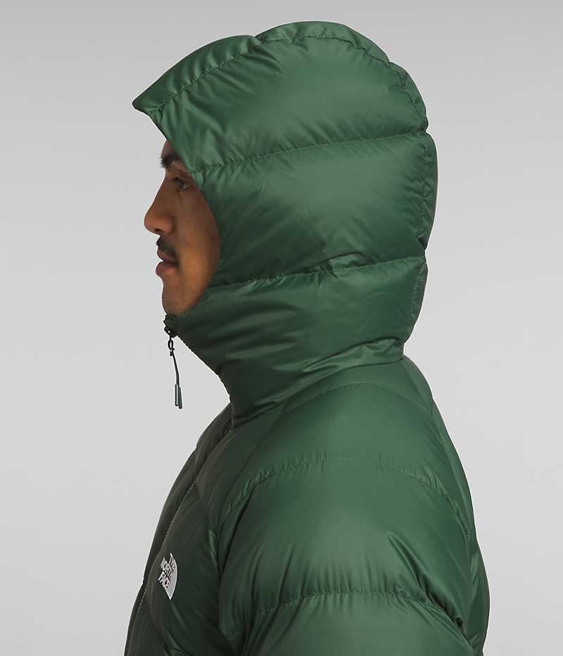 Doudoune The North Face Hydrenalite™ Hoodie Homme Vert | FRANCE FSAHM