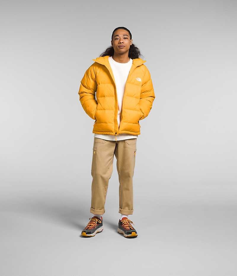 Doudoune The North Face Hydrenalite™ Hoodie Homme Doré | FR HFMEP