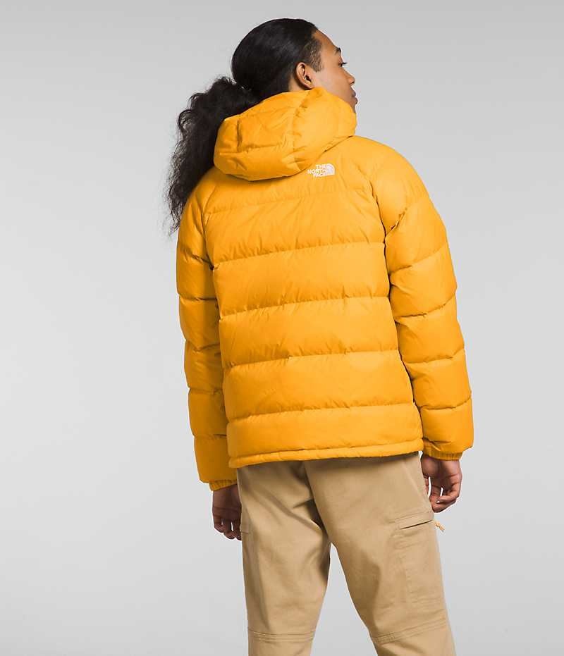Doudoune The North Face Hydrenalite™ Hoodie Homme Doré | FR HFMEP