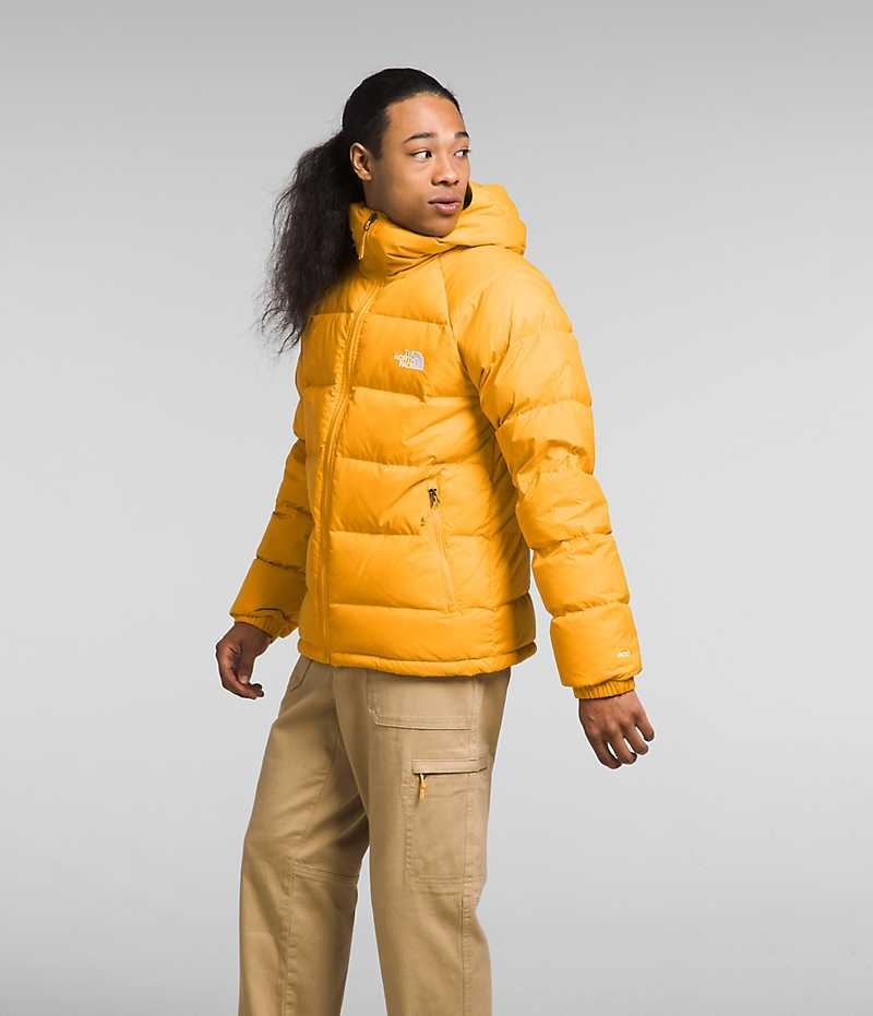 Doudoune The North Face Hydrenalite™ Hoodie Homme Doré | FR HFMEP