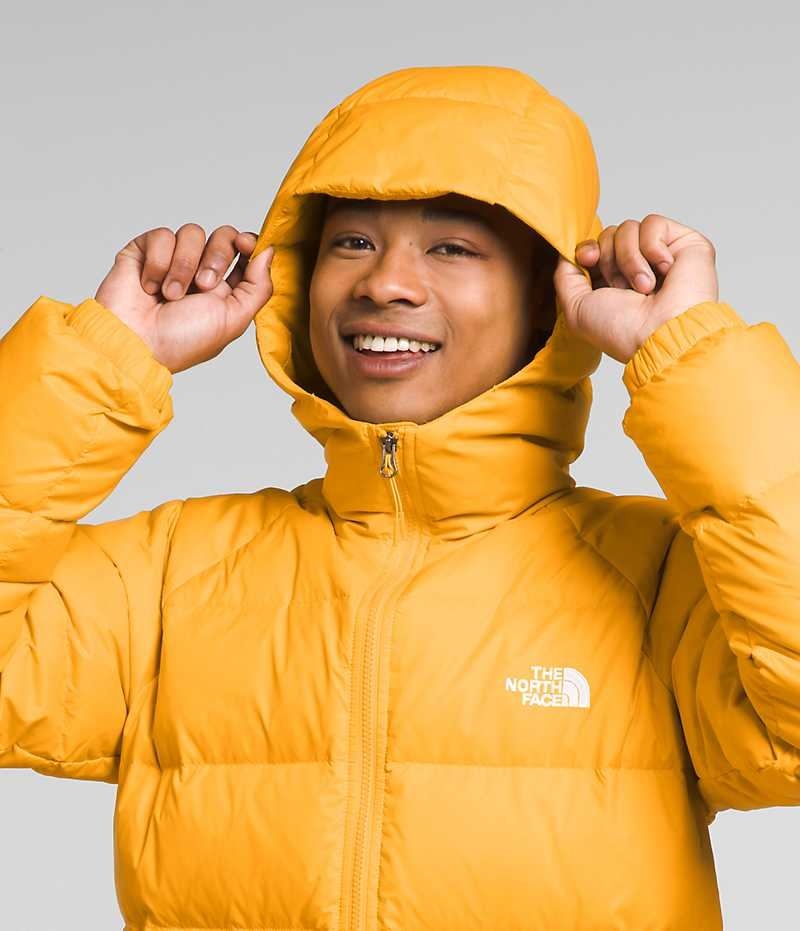 Doudoune The North Face Hydrenalite™ Hoodie Homme Doré | FR HFMEP