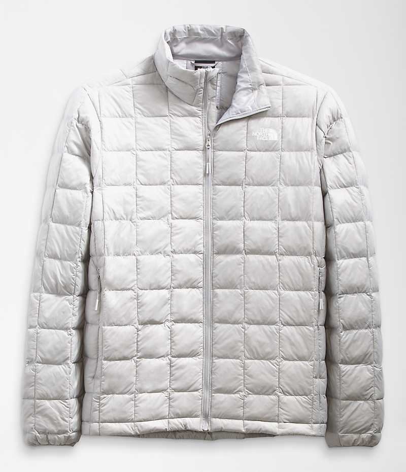 Doudoune The North Face ThermoBall™ Eco 2.0 Homme Grise | PARIS SXHQR