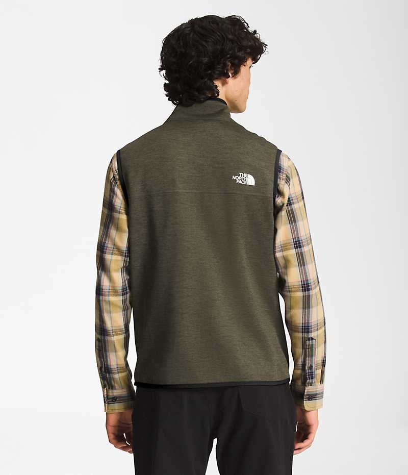 Gilet The North Face Canyonlands Homme Vert Olive | FR IDCQX