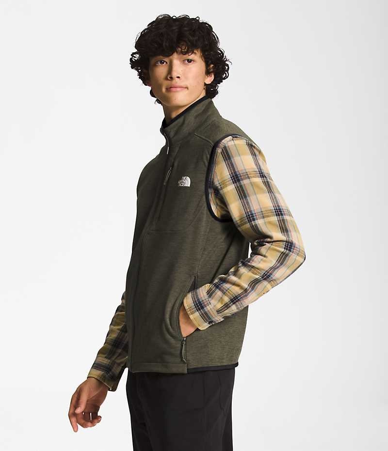 Gilet The North Face Canyonlands Homme Vert Olive | FR IDCQX