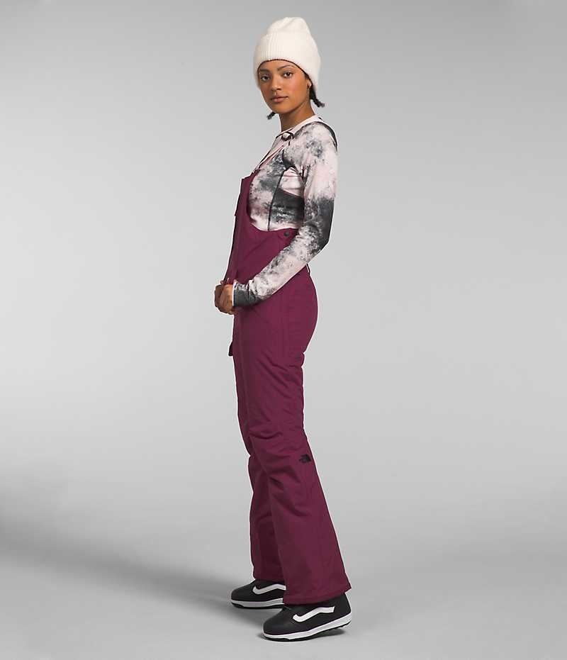 Pantalon Bib The North Face Freedom Insulated Femme Bordeaux | PARIS FNUJM