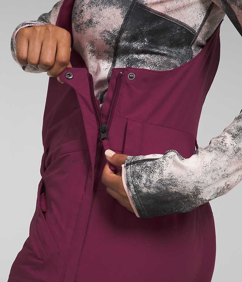 Pantalon Bib The North Face Freedom Insulated Femme Bordeaux | PARIS FNUJM