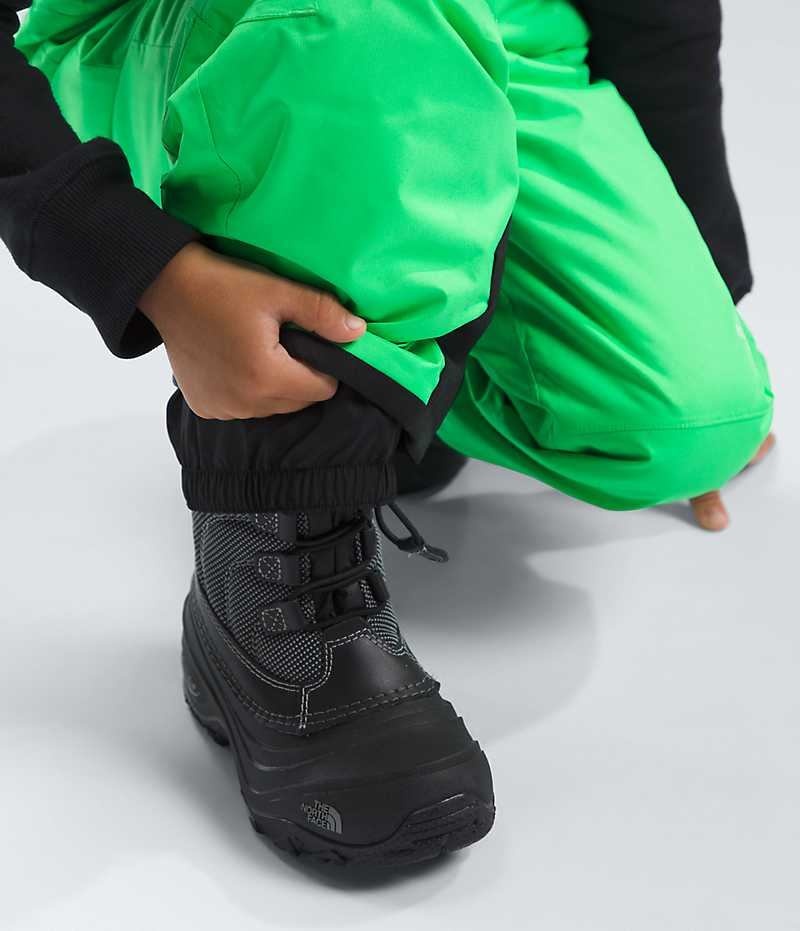 Pantalon Bib The North Face Freedom Insulated Garcon Vert | PARIS AMVZH