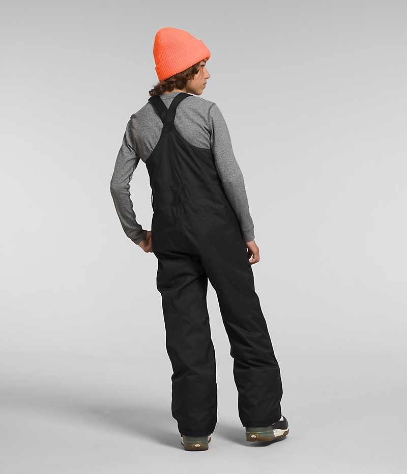 Pantalon Bib The North Face Freedom Insulated Garcon Noir | FR HTGRI
