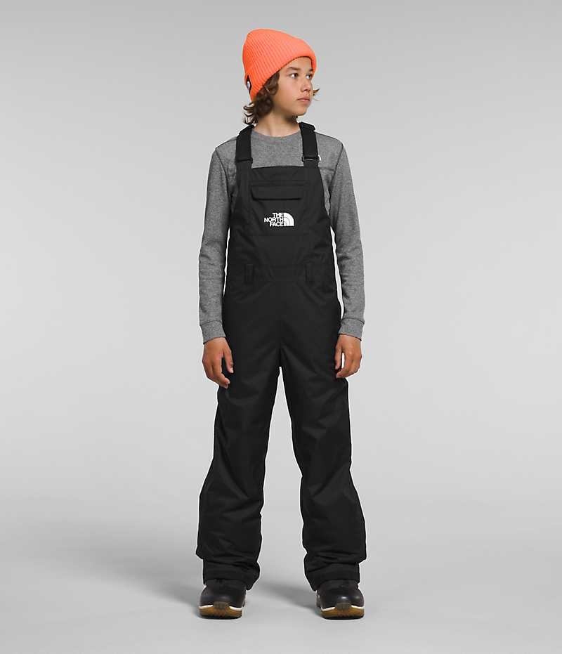 Pantalon Bib The North Face Freedom Insulated Garcon Noir | FR HTGRI