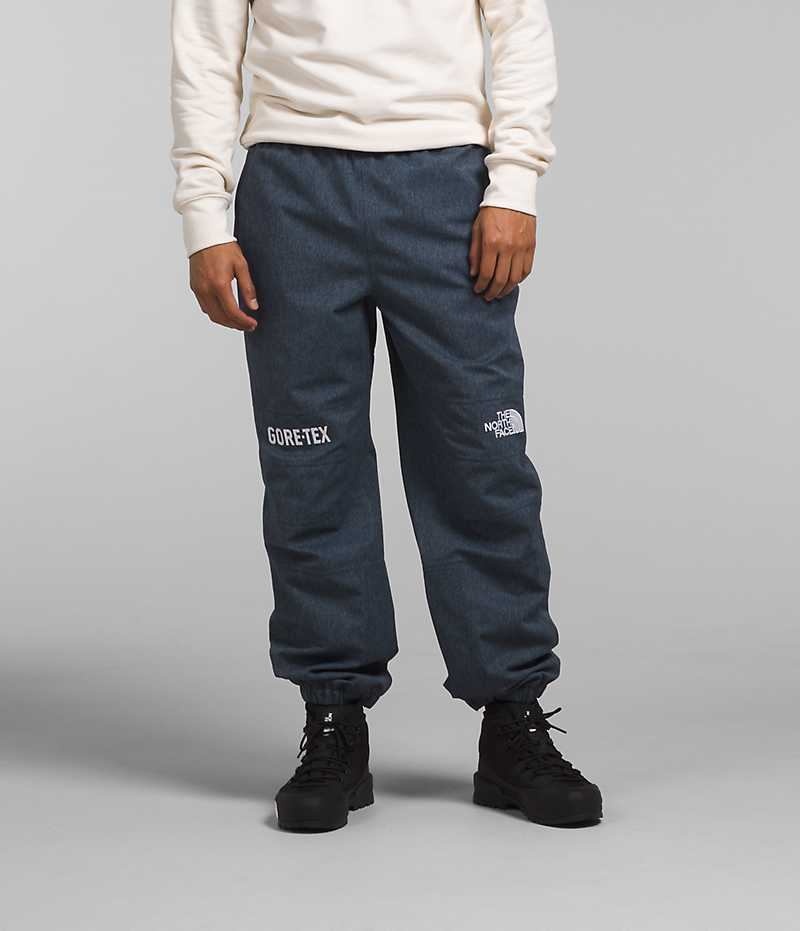 Pantalon De Pluie The North Face GTX Mountain Homme Bleu | PARIS DTCQO