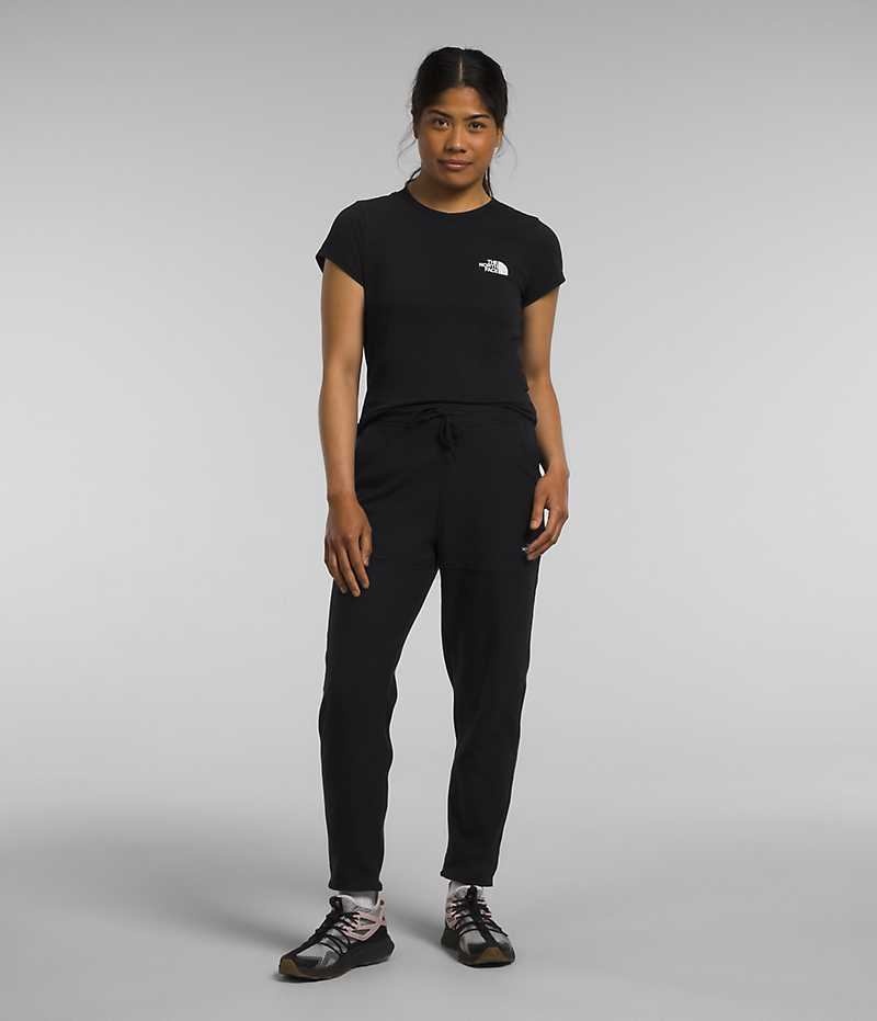Pantalon En Molleton The North Face Alpine Polartec® 100 Femme Noir | FRANCE EAWXL