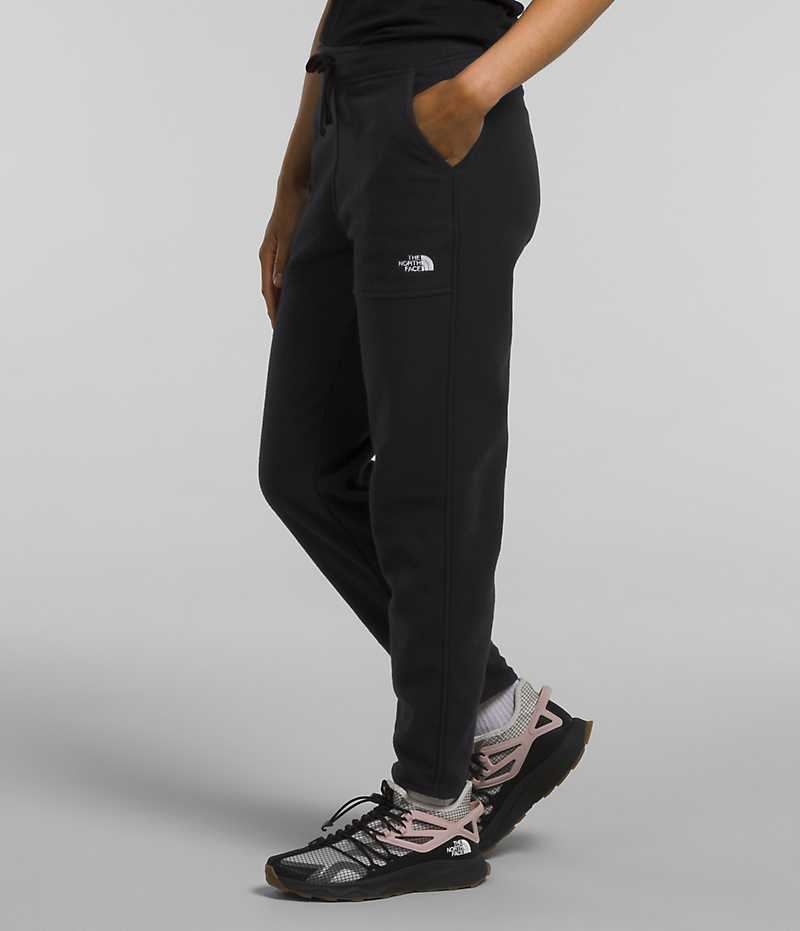 Pantalon En Molleton The North Face Alpine Polartec® 100 Femme Noir | FRANCE EAWXL