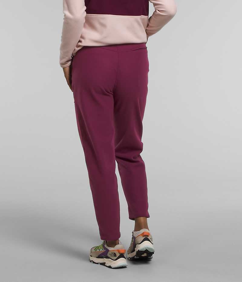 Pantalon En Molleton The North Face Alpine Polartec® 100 Femme Bordeaux | PARIS UILBV