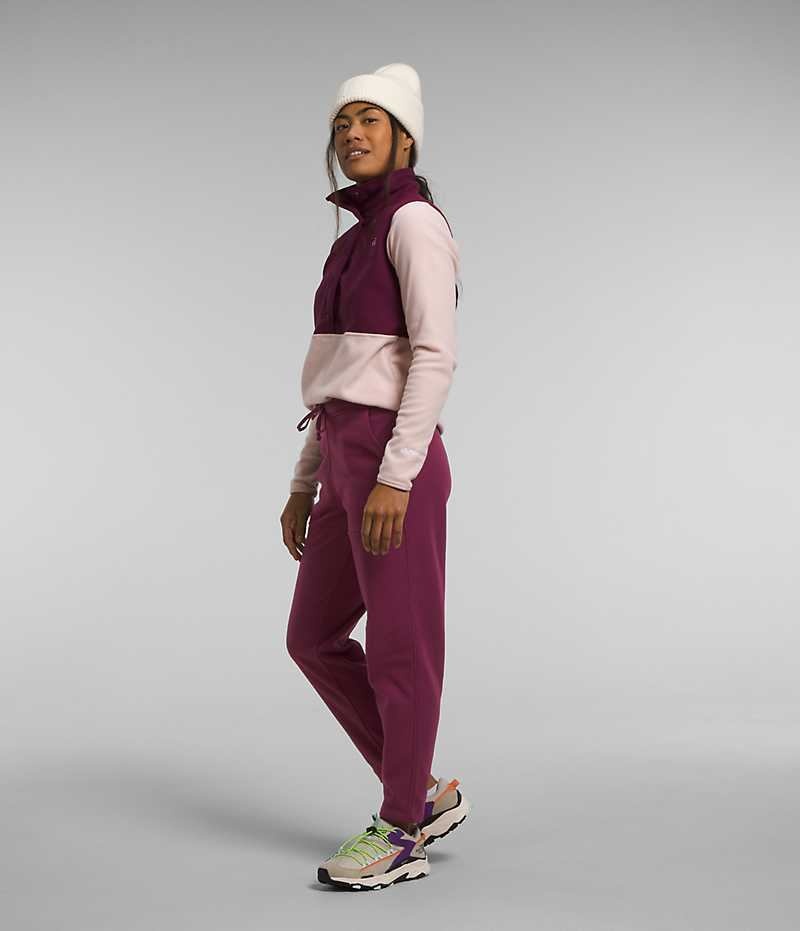 Pantalon En Molleton The North Face Alpine Polartec® 100 Femme Bordeaux | PARIS UILBV