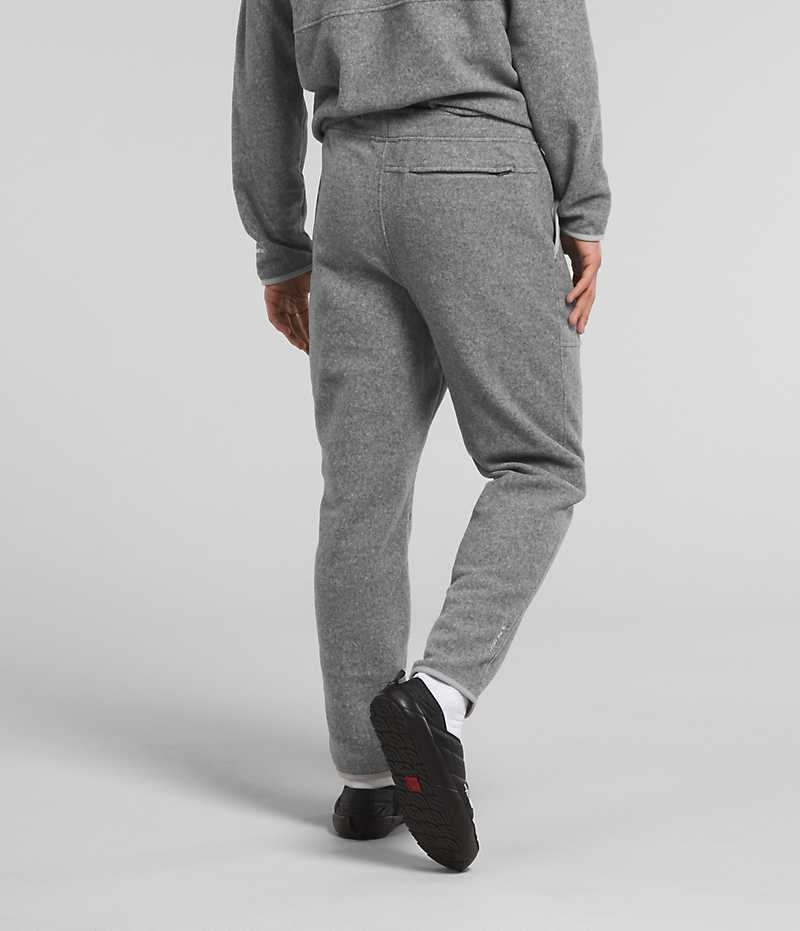Pantalon En Molleton The North Face Alpine Polartec® 100 Homme Grise | FRANCE WJXVE