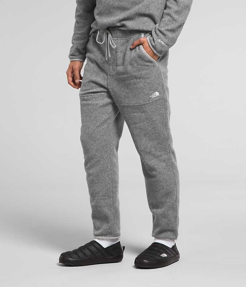 Pantalon En Molleton The North Face Alpine Polartec® 100 Homme Grise | FRANCE WJXVE