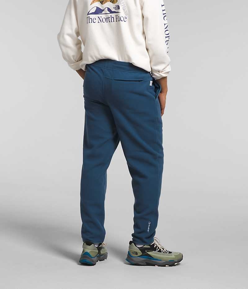 Pantalon En Molleton The North Face Alpine Polartec® 100 Homme Bleu | FR GYQBF