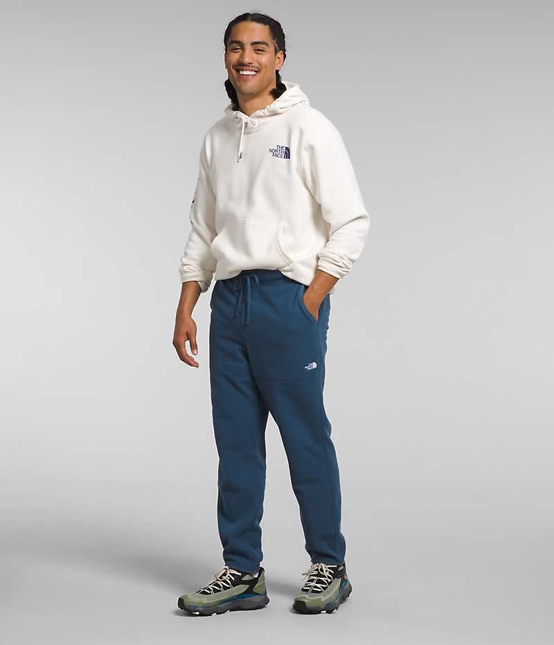 Pantalon En Molleton The North Face Alpine Polartec® 100 Homme Bleu | FR GYQBF