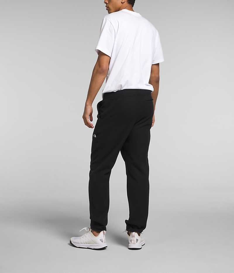 Pantalon En Molleton The North Face Alpine Polartec® 100 Homme Noir | FRANCE KYXPS