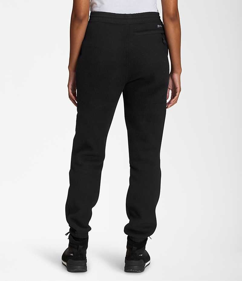 Pantalon En Molleton The North Face Denali Femme Noir | FR ZRTDH