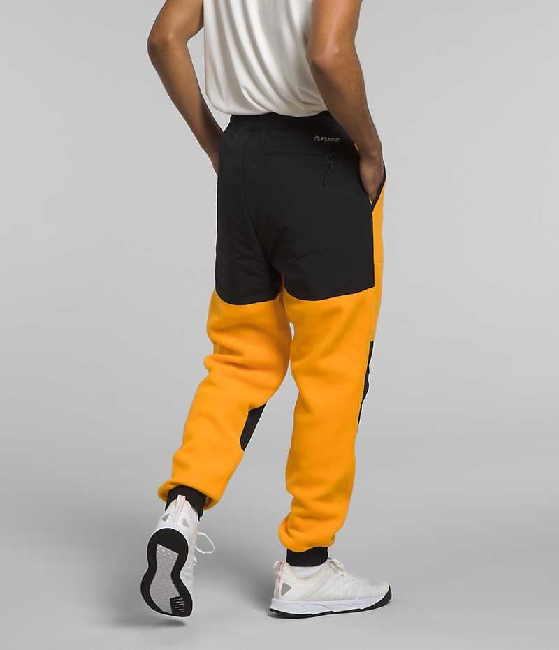 Pantalon En Molleton The North Face Denali Homme Doré | PARIS RYLAZ
