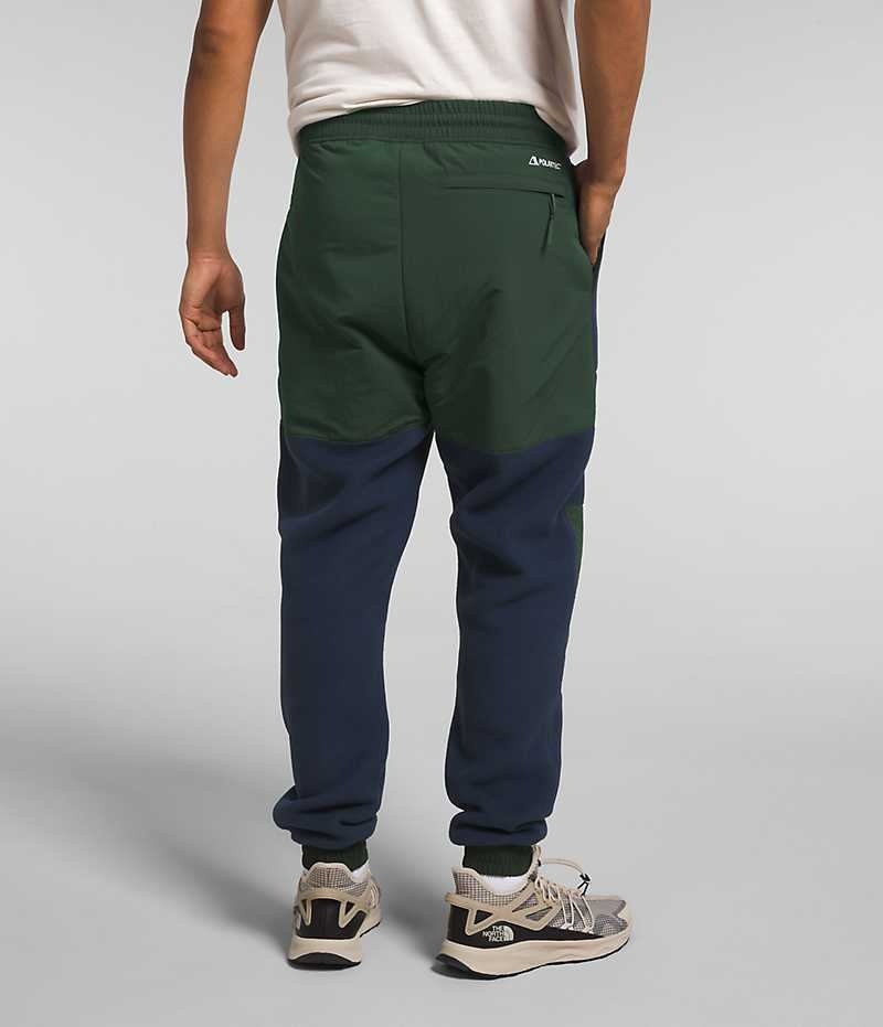 Pantalon En Molleton The North Face Denali Homme Bleu Marine Vert | FR ZGFXR