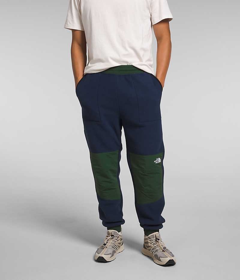 Pantalon En Molleton The North Face Denali Homme Bleu Marine Vert | FR ZGFXR